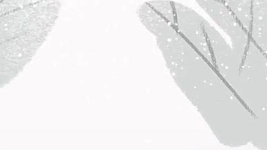 大雪片头片尾工程视频的预览图